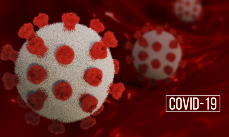 Doctor Asked To Keep Clinic Open During Pandemic Not Eligible For PMGKP Compensation Unless Requisitioned For COVID19 Duty : Bombay HC Doctor Asked To Keep Clinic Open During Pandemic Not Eligible For PMGKP Compensation Unless Requisitioned For COVID19 Duty : Bombay HC