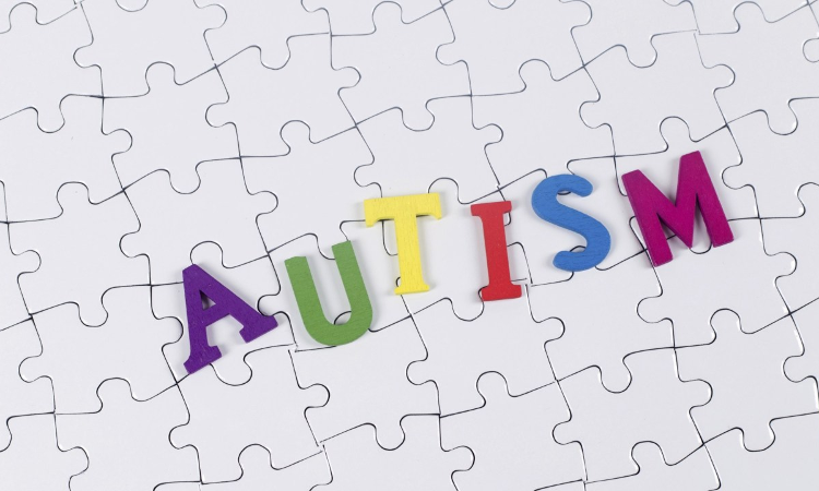 Rights Of Autistic People And Duties To Autistic Children Rights Of Autistic People And Duties To Autistic Children