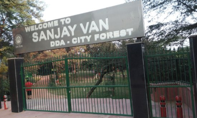 Ensure That Theres No Encroachment In Sanjay Van, Delhi HC Directs DDA After Taking Suo Moto Cognisance [Read Order]