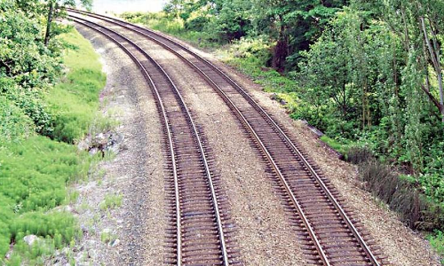 Hubbali-Ankola Rail Line : Karnataka HC Extends Stay On Wildlife Board Decision Allowing Diversion Of Forest Land Hubbali-Ankola Rail Line : Karnataka HC Extends Stay On Wildlife Board Decision Allowing Diversion Of Forest Land