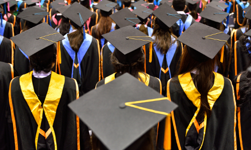 Delhi HC Constitutes A Committee To Finalise The Process of Issuing Digital Degree Certificate To Students [Read Order]