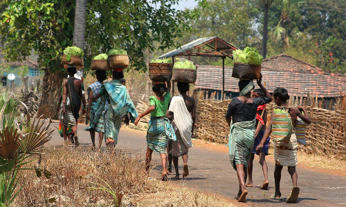 Ensure Uninterrupted Ration Supply To Tribal People Ensure Uninterrupted Ration Supply To Tribal People