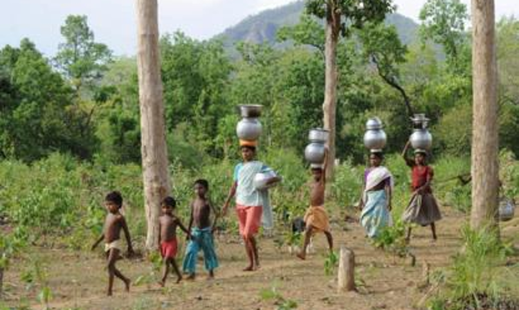 Madras High Court Orders Centre To Relocate 495 Families From Mudumalai Tiger Reserve, Says Paucity Of Funds Not An Excuse Madras High Court Orders Centre To Relocate 495 Families From Mudumalai Tiger Reserve, Says Paucity Of Funds Not An Excuse