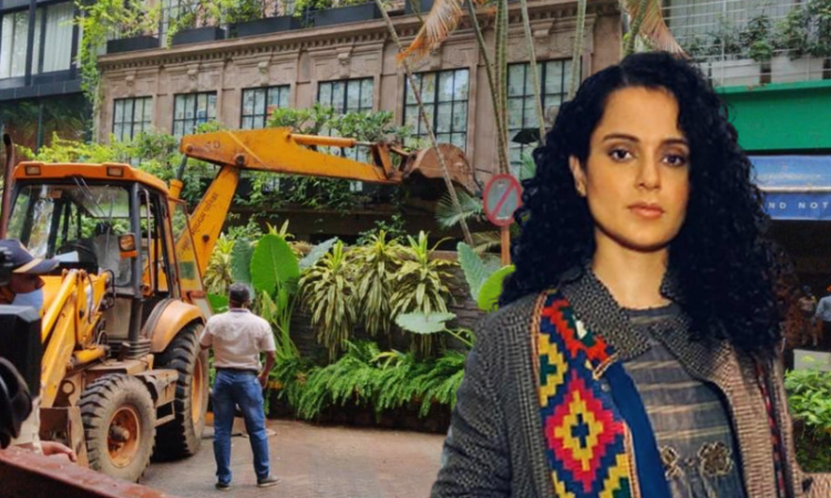 Cases Of Celebrities Are Critical Cases? Bombay HC Grills Mumbai Civic Body Officials In Kangana Ranaut Case Hearing Cases Of Celebrities Are Critical Cases? Bombay HC Grills Mumbai Civic Body Officials In Kangana Ranaut Case Hearing