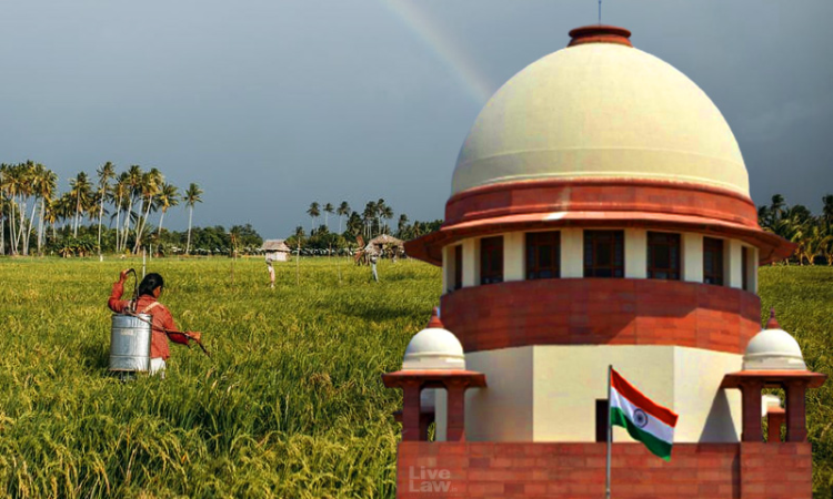 Will Lead To Farmers Being At The Mercy Of Corporates: Bharatiya Kisan Union Bhanu Moves Supreme Court Challenging Farm Laws Will Lead To Farmers Being At The Mercy Of Corporates: Bharatiya Kisan Union Bhanu Moves Supreme Court Challenging Farm Laws