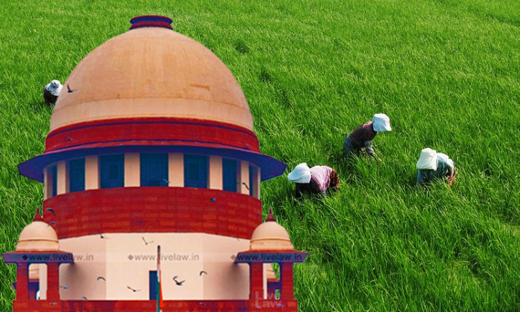 You Cannot Ask For A General Direction To Implement A Law : Supreme Court Dismisses PIL To Enforce Farmers Acts You Cannot Ask For A General Direction To Implement A Law : Supreme Court Dismisses PIL To Enforce Farmers Acts