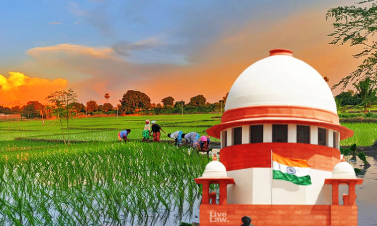 Supreme Court Restores and Keeps For Admission ML Sharmas Plea Challenging The Three Farm Laws Supreme Court Restores and Keeps For Admission ML Sharmas Plea Challenging The Three Farm Laws