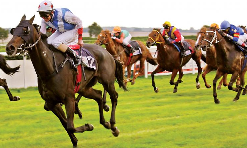 Karnataka High Court Issues Interim Order Permitting Bangalore Turf Club To Conduct Horse Races, Betting Activities