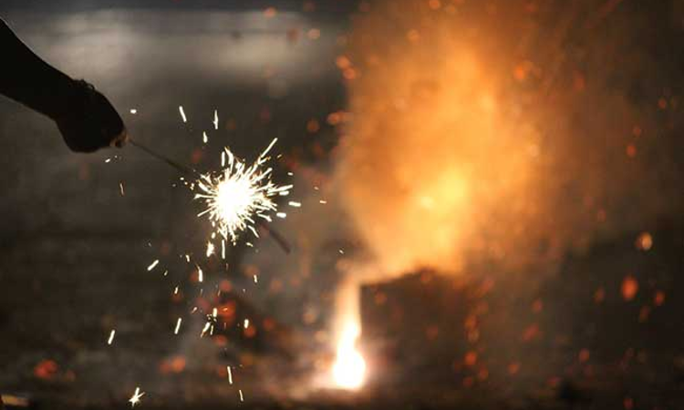 Delhi High Court Directs Centre To Consider Plea On Alleged Gaps In Firecracker Safety Guidelines