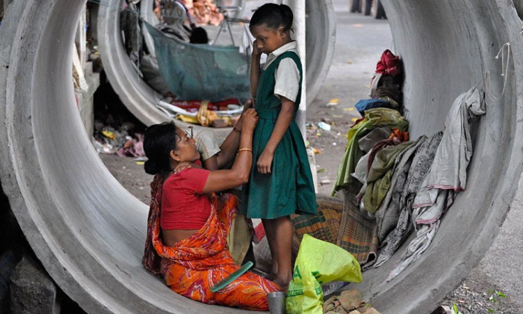 Nerve Shocking: Rajasthan High Court Takes Suo Moto Cognizance Of Widow Living Roadside With Children, Orders Protection