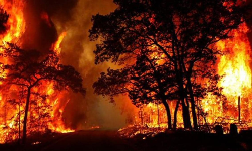 Supreme Court Adjourns To Next Week PIL Seeking Directions To Control Uttarakhand Forest Fires In The State