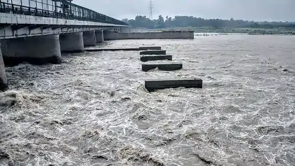 Rejuvenation Of Yamuna: ‘Situation Far From Satisfactory’, NGT Calls For Fresh Report From Authorities