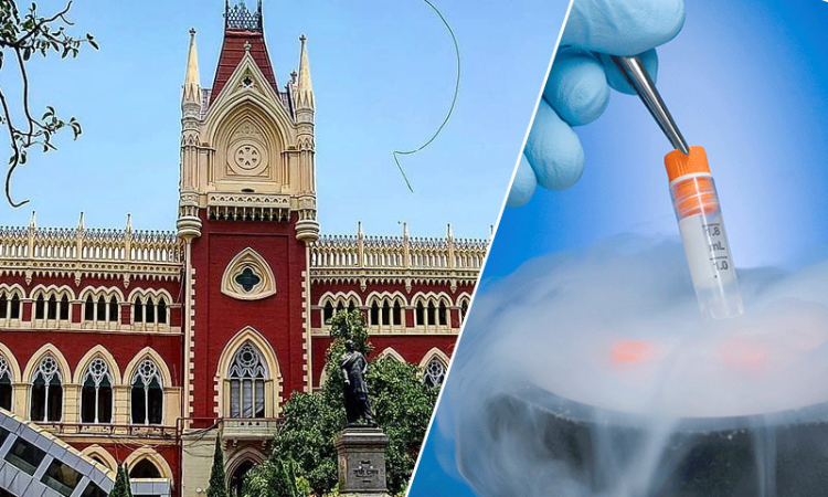 If Married, Only Dead Mans Wife Has Right Over Preserved Sperm; Father Doesnt Have Any Right Over Sons Progeny: Calcutta High Court If Married, Only Dead Mans Wife Has Right Over Preserved Sperm; Father Doesnt Have Any Right Over Sons Progeny: Calcutta High Court