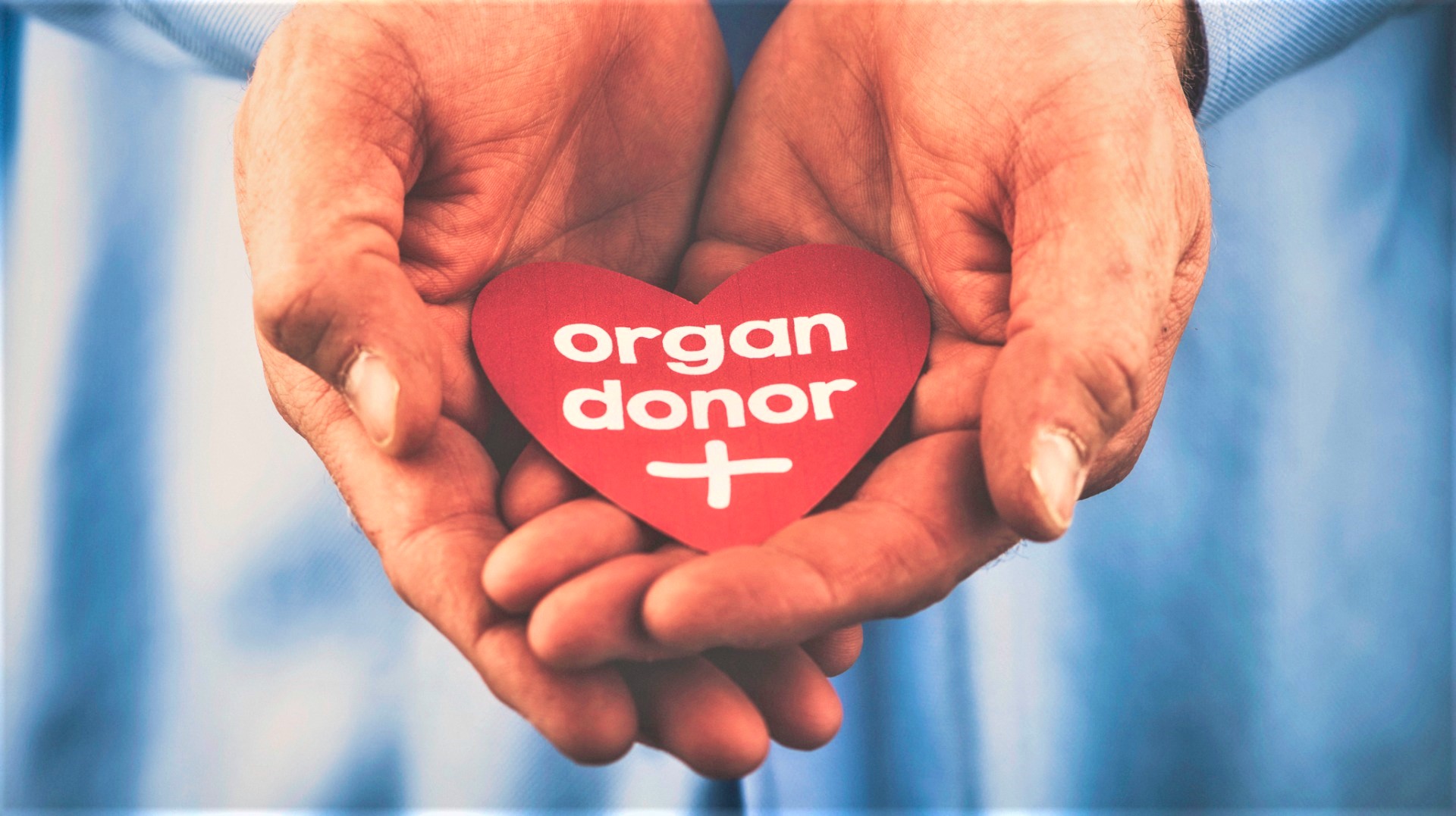Denying Full Reimbursement For Retd Govt Employees Heart Surgery Violates His Human Rights: Bombay High Court Denying Full Reimbursement For Retd Govt Employees Heart Surgery Violates His Human Rights: Bombay High Court