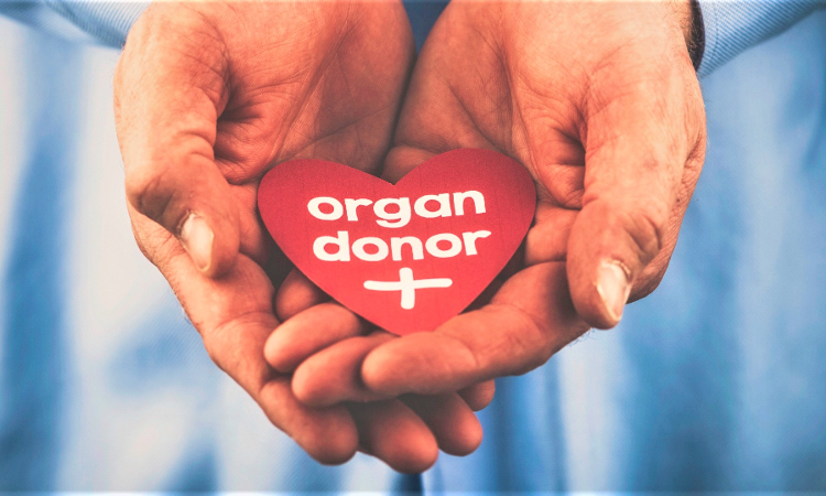 Denying Full Reimbursement For Retd Govt Employees Heart Surgery Violates His Human Rights: Bombay High Court Denying Full Reimbursement For Retd Govt Employees Heart Surgery Violates His Human Rights: Bombay High Court