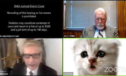 Im Not A Cat : US Lawyer Attends VC Hearing With Accidental Kitten Filter; Judge Responds With Grace