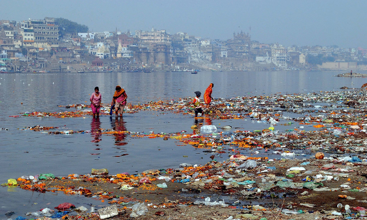 NGT Directs UP Chief Secretary To Take Action Against Ganga Pollution And Hold Erring Officers Accountable NGT Directs UP Chief Secretary To Take Action Against Ganga Pollution And Hold Erring Officers Accountable
