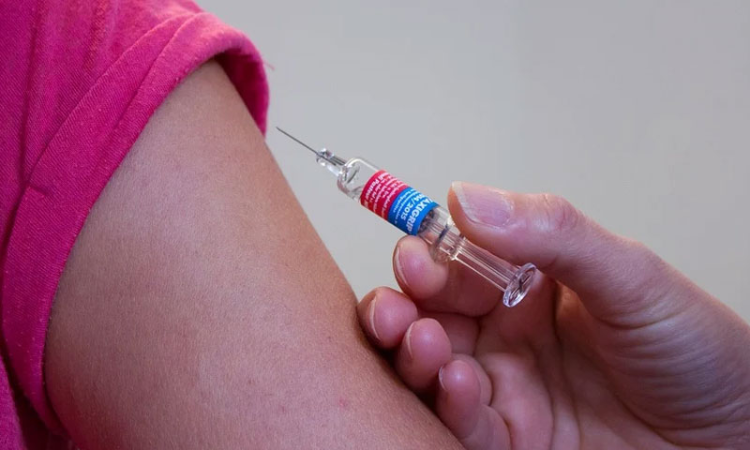 No Adverse Effects Of Home Vaccination On Bedridden: Bombay High Court Lauds BMC No Adverse Effects Of Home Vaccination On Bedridden: Bombay High Court Lauds BMC