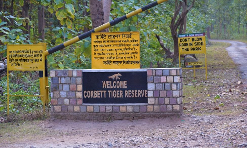Uttarakhand High Court Finds Prima Facie Illegalities In Corbett Tiger Reserve, Asks State To Take Action Against Unauthorized Constructions Uttarakhand High Court Finds Prima Facie Illegalities In Corbett Tiger Reserve, Asks State To Take Action Against Unauthorized Constructions