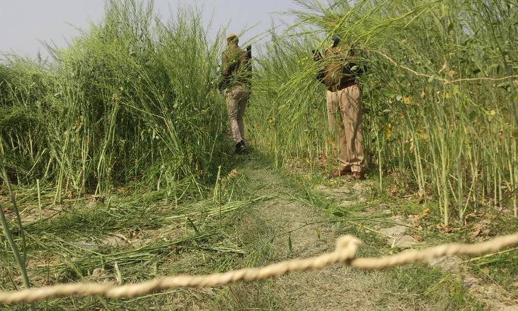 Unnao Deaths- Transfer Probe To CBI, Shift Lone Survivor To AIIMS: Urges Letter Petition To Allahabad High Court