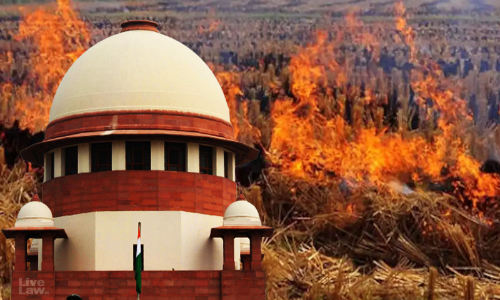 Delhi Air Pollution : Stop Stubble Burning Forthwith, Supreme Court Directs Punjab, Haryana, UP & Rajasthan