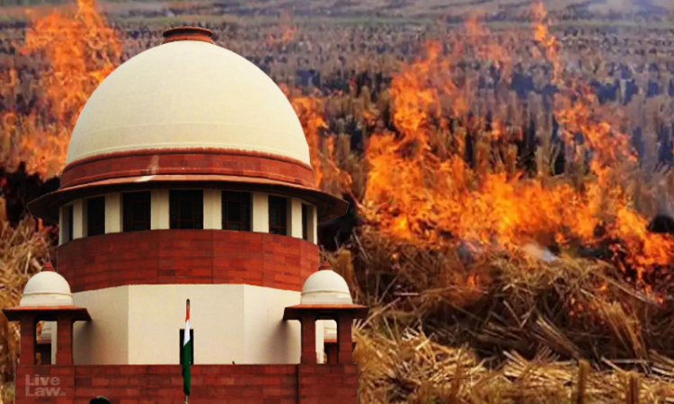 Delhi Air Pollution : Stop Stubble Burning Forthwith, Supreme Court Directs Punjab, Haryana, UP & Rajasthan Delhi Air Pollution : Stop Stubble Burning Forthwith, Supreme Court Directs Punjab, Haryana, UP & Rajasthan
