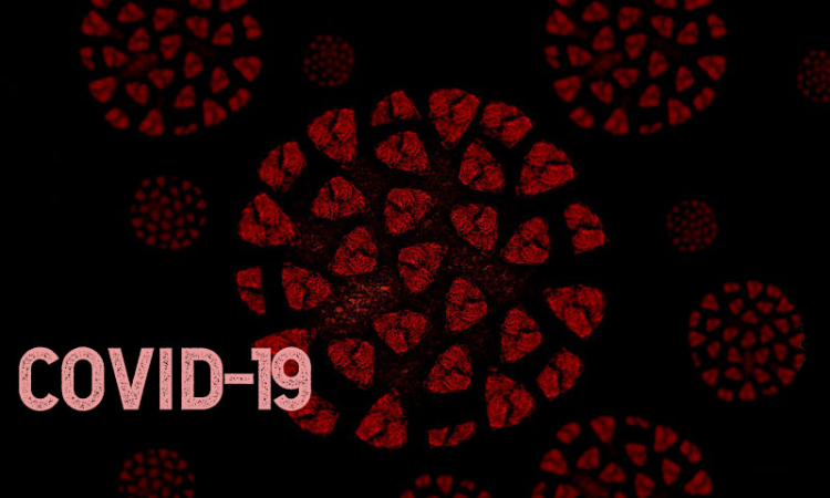 PIL In Delhi HC Seeks Direction To Safeguard Interest, Provide Interim Custody Of Children Orphaned Due To COVID PIL In Delhi HC Seeks Direction To Safeguard Interest, Provide Interim Custody Of Children Orphaned Due To COVID