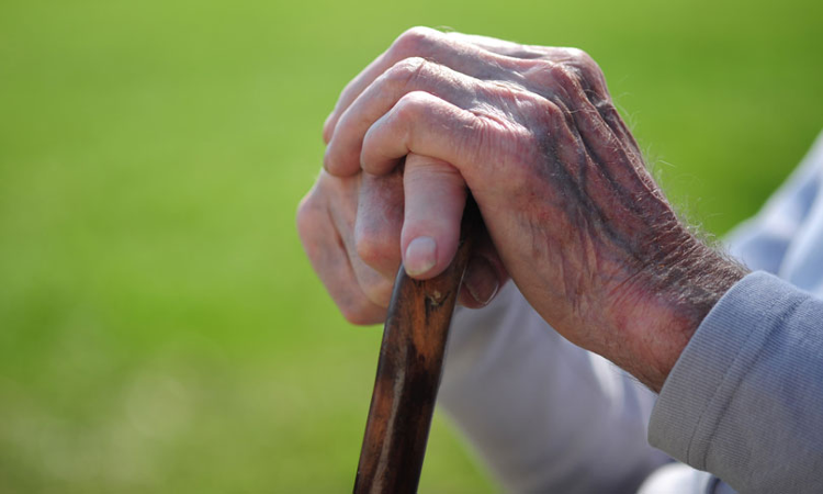 Karnataka Law Commission Recommendations To Amend Senior Citizens Rules Under Active Consideration: State Tells High Court Karnataka Law Commission Recommendations To Amend Senior Citizens Rules Under Active Consideration: State Tells High Court