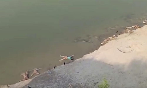 Corpses Floating In Ganga : PIL In Supreme Court Seeks Judicial Intervention, SIT Probe Corpses Floating In Ganga : PIL In Supreme Court Seeks Judicial Intervention, SIT Probe