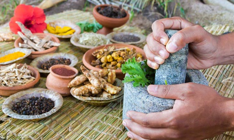 Plea In Supreme Court Seeks Reduction Of Qualifying Percentile For Admission In Ayurveda Course