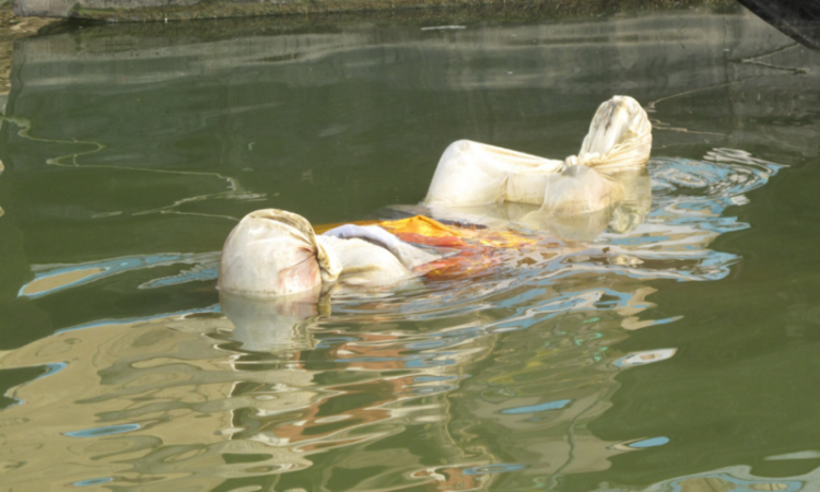 How Many Corpses Were Floating In Ganga During Covid-19 Pandemic? NGT Asks Bihar & UP Govts