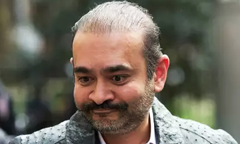 London Court Orders Nirav Modi To Pay Bank Of India Over USD 11.5 Million London Court Orders Nirav Modi To Pay Bank Of India Over USD 11.5 Million