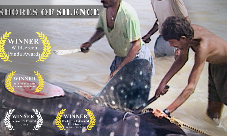 Law On Reels: Shores Of Silence : The Quintessence Of Environmental Activism Law On Reels: Shores Of Silence : The Quintessence Of Environmental Activism