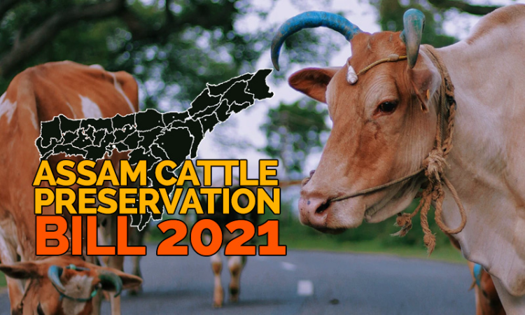 No Beef Sale Near Temples: Assam Govt. Introduces Assam Cattle Preservation Bill, 2021 In State Assembly No Beef Sale Near Temples: Assam Govt. Introduces Assam Cattle Preservation Bill, 2021 In State Assembly