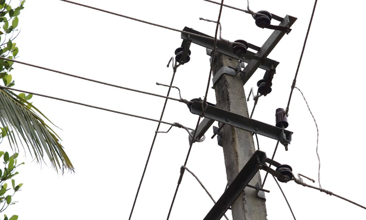 KSEB Plan To Procure Lighter Workload Poles Against Safety & Public Interest : Kerala High Court KSEB Plan To Procure Lighter Workload Poles Against Safety & Public Interest : Kerala High Court