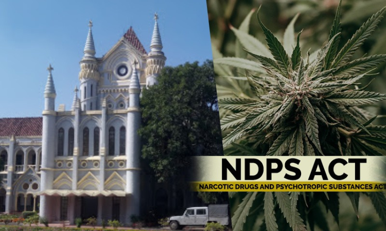 Possession of Cough Syrup Or Medicine Containing Narcotic Substances Without Valid Documents Is NDPS Offence : Madhya Pradesh High Court Possession of Cough Syrup Or Medicine Containing Narcotic Substances Without Valid Documents Is NDPS Offence : Madhya Pradesh High Court