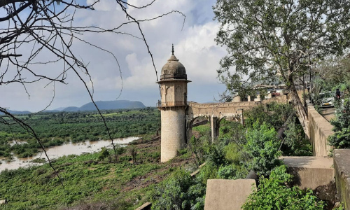 State Should Take Steps To Stop All Activities Which Impede Natural Flow Of Water: Rajasthan High Court