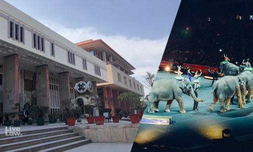 Disclose Status Of Animals Of Circuses Which Have Closed Down: Delhi HC Seeks Animal Welfare Board Of Indias Response On PETAs Plea