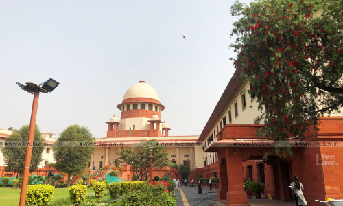No Intention: Supreme Court Reduces Jail Sentence Awarded To Man Accused Of Killing A Person For Stealing Pigeon