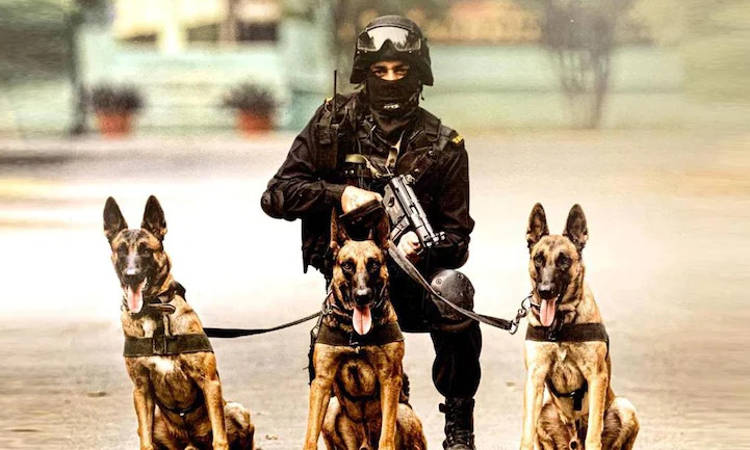 Police Dog Cannot Testify In Court, Its Handlers Evidence Is Mere Hearsay And Requires Corroboration: Orissa High Court Police Dog Cannot Testify In Court, Its Handlers Evidence Is Mere Hearsay And Requires Corroboration: Orissa High Court