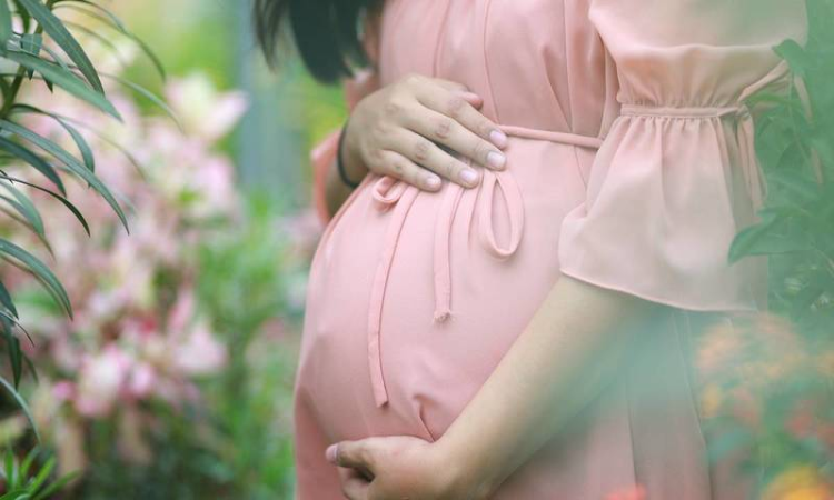 Re-Examine CCS Rule Denying Maternity Leave To Female Govt Servant Having More Than Two Children: Delhi High Court To Authorities Re-Examine CCS Rule Denying Maternity Leave To Female Govt Servant Having More Than Two Children: Delhi High Court To Authorities