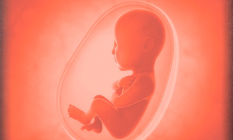Reproductive Rights In India: Precarious Intersection Of Mental Health And Abortion Law Reproductive Rights In India: Precarious Intersection Of Mental Health And Abortion Law