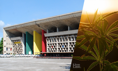 High Court Directs Punjab Police SI To Pay Compensation of Rs 10,000 To Accused For Lodging Drugs Case Without Any Basis
