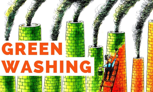 Directors Duties And Issues Pertaining To Greenwashing As A Mirage