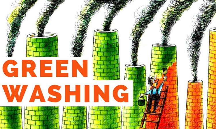 Directors Duties And Issues Pertaining To Greenwashing As A Mirage