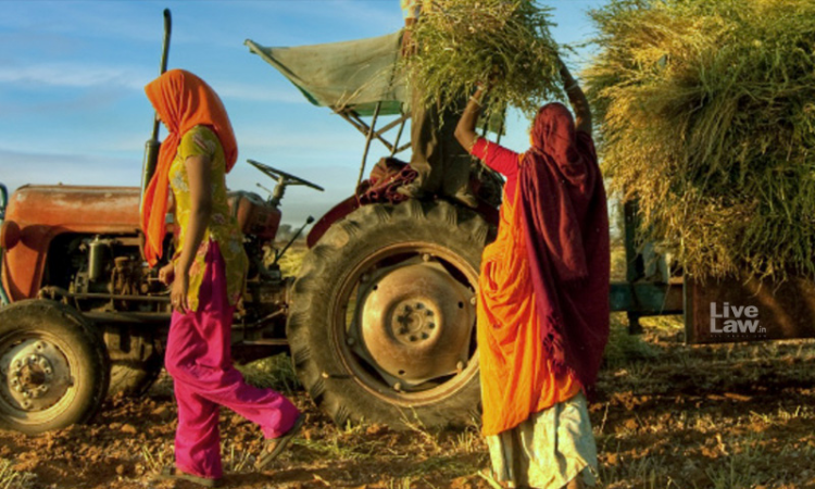 Inheritance Of Agricultural Land By Women: There Is Distance Yet To Travel Inheritance Of Agricultural Land By Women: There Is Distance Yet To Travel