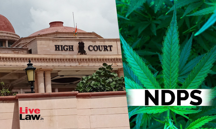NDPS Case- False Implication Is A Stereo Typed Defence Of Accused Who Are Found In Possession Of Contraband: Allahabad HC NDPS Case- False Implication Is A Stereo Typed Defence Of Accused Who Are Found In Possession Of Contraband: Allahabad HC