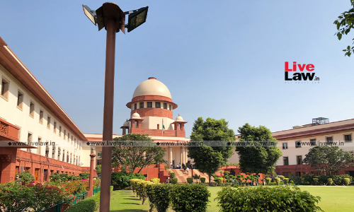 Supreme Court Stays Tree Felling For Delhi-Dehradun Expressway Till Nov 26; Asks NGT To Decide Afresh Supreme Court Stays Tree Felling For Delhi-Dehradun Expressway Till Nov 26; Asks NGT To Decide Afresh