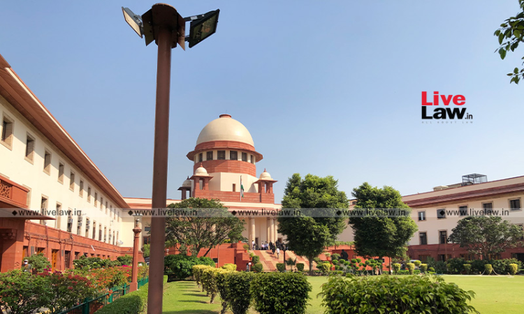 Supreme Court Stays Tree Felling For Delhi-Dehradun Expressway Till Nov 26; Asks NGT To Decide Afresh Supreme Court Stays Tree Felling For Delhi-Dehradun Expressway Till Nov 26; Asks NGT To Decide Afresh