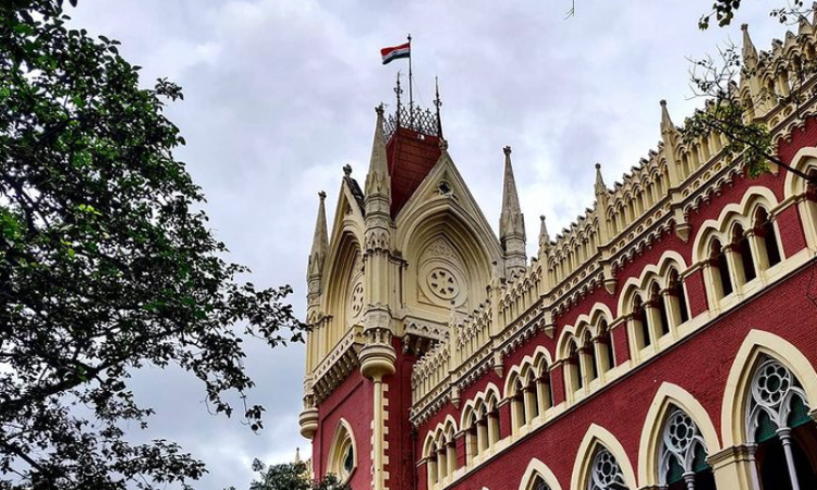 Vague Reference To Previous Medical Treatment : Calcutta HC Dismisses Plea Of Legal Insanity, Upholds Life Sentence Of Man For Murdering His Mother Vague Reference To Previous Medical Treatment : Calcutta HC Dismisses Plea Of Legal Insanity, Upholds Life Sentence Of Man For Murdering His Mother